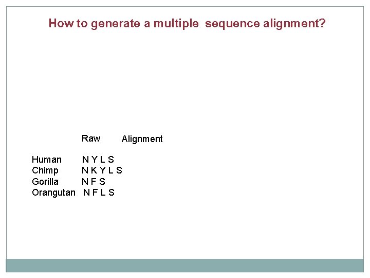 How to generate a multiple sequence alignment? Raw Human Chimp Gorilla Orangutan Alignment NYLS