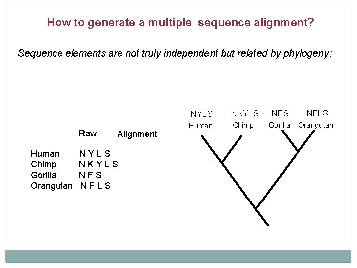 How to generate a multiple sequence alignment? Sequence elements are not truly independent but