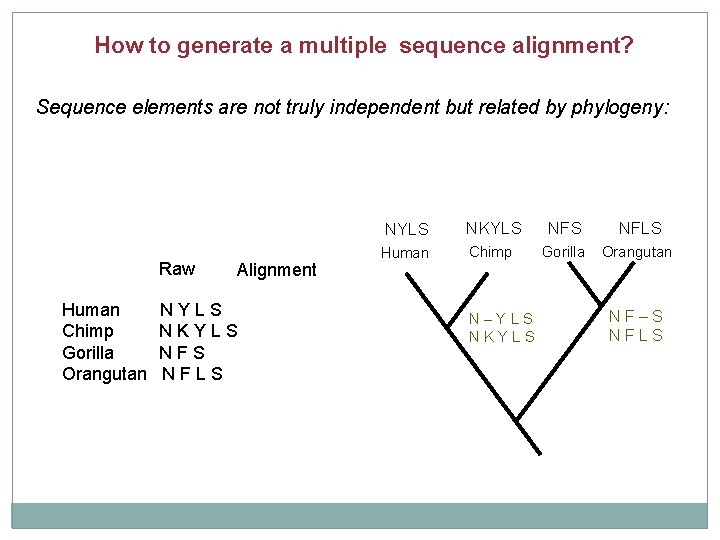 How to generate a multiple sequence alignment? Sequence elements are not truly independent but