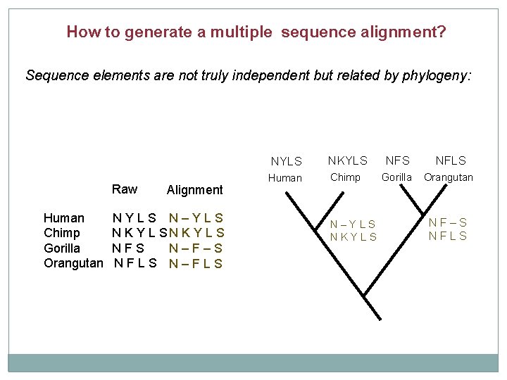 How to generate a multiple sequence alignment? Sequence elements are not truly independent but