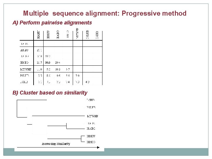 Multiple sequence alignment: Progressive method A) Perform pairwise alignments B) Cluster based on similarity