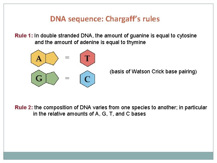 DNA sequence: Chargaff’s rules Rule 1: In double stranded DNA, the amount of guanine