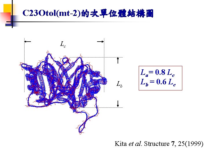 C 23 Otol(mt-2)的次單位體結構圖 Lc Lb La= 0. 8 Lc Lb = 0. 6 Lc