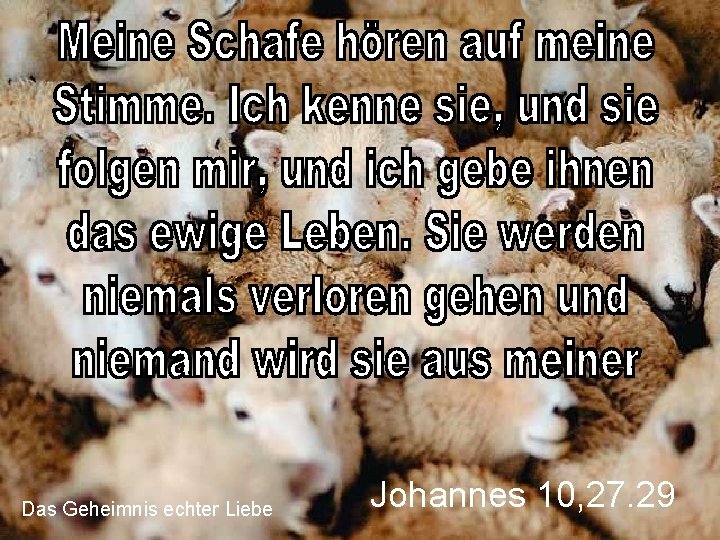 Das Geheimnis echter Liebe Johannes 10, 27. 29 