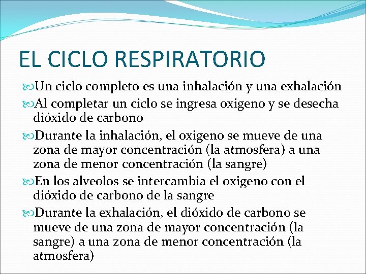 EL CICLO RESPIRATORIO Un ciclo completo es una inhalación y una exhalación Al completar