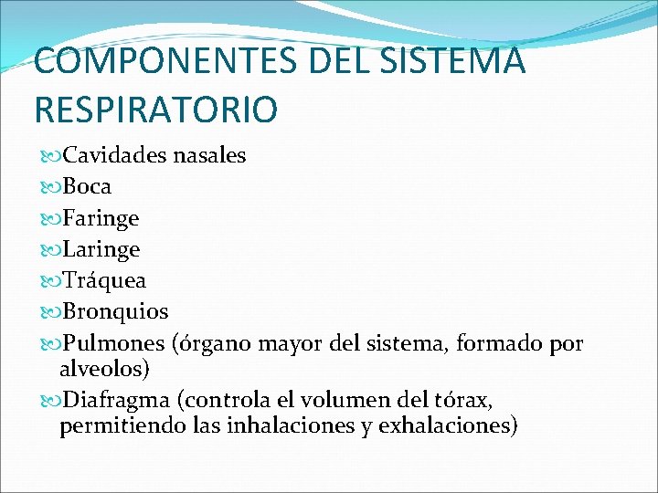COMPONENTES DEL SISTEMA RESPIRATORIO Cavidades nasales Boca Faringe Laringe Tráquea Bronquios Pulmones (órgano mayor
