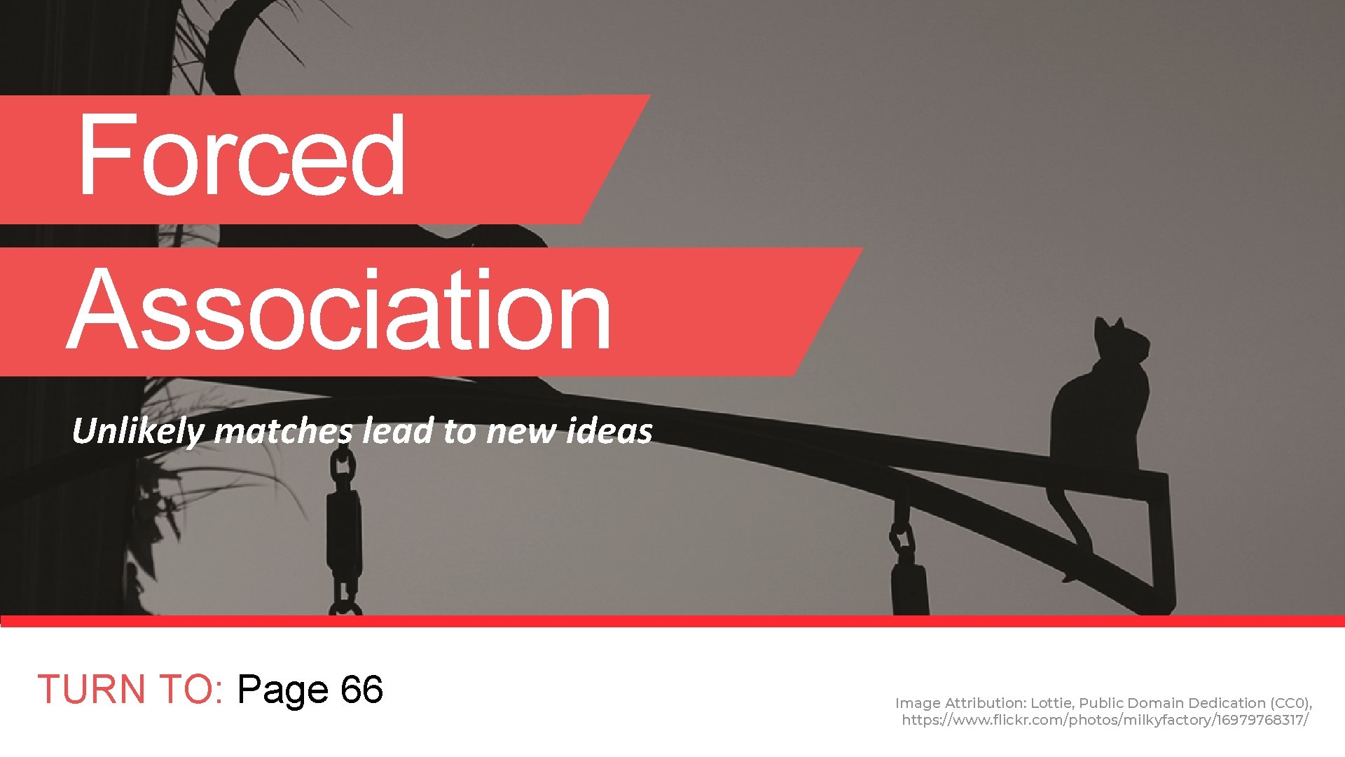 Forced Association Unlikely matches lead to new ideas TURN TO: Page 66 Image Attribution: