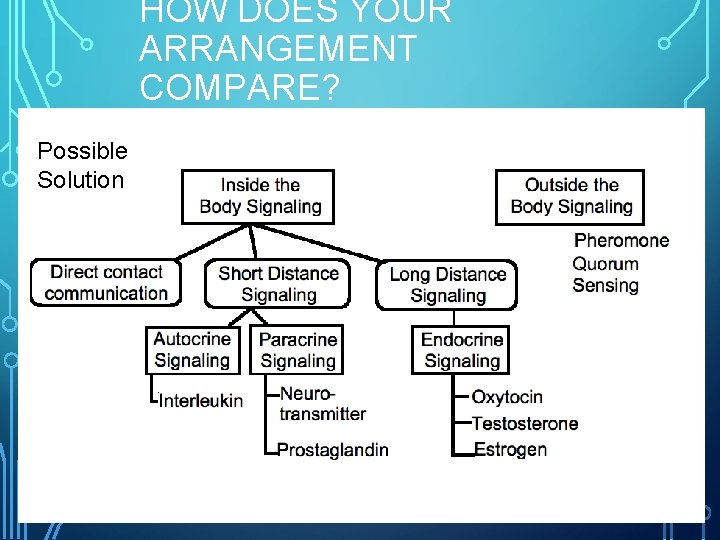 HOW DOES YOUR ARRANGEMENT COMPARE? Possible Solution 15 