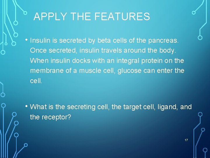 APPLY THE FEATURES • Insulin is secreted by beta cells of the pancreas. Once