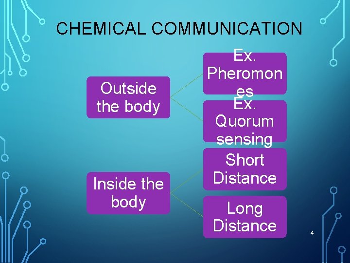 CHEMICAL COMMUNICATION Outside the body Inside the body Ex. Pheromon es Ex. Quorum sensing
