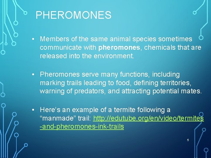PHEROMONES • Members of the same animal species sometimes communicate with pheromones, chemicals that