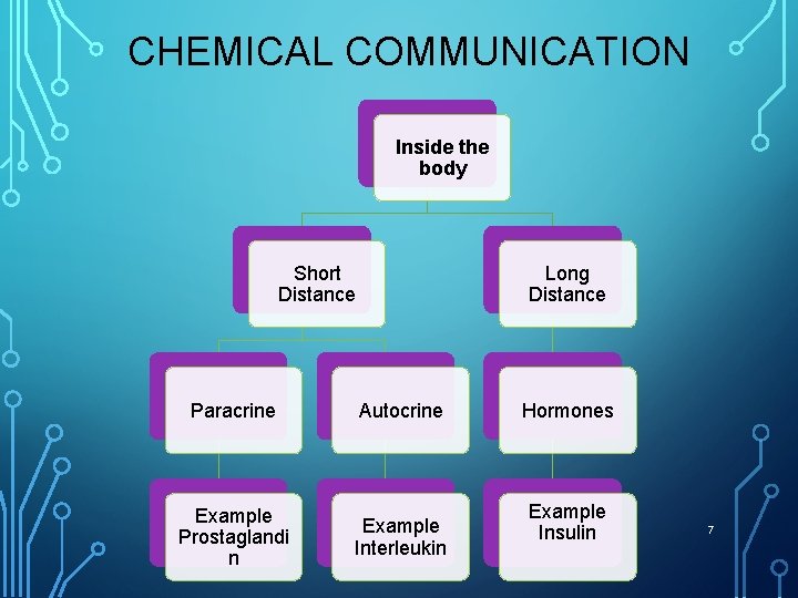CHEMICAL COMMUNICATION Inside the body Short Distance Paracrine Example Prostaglandi n Long Distance Autocrine