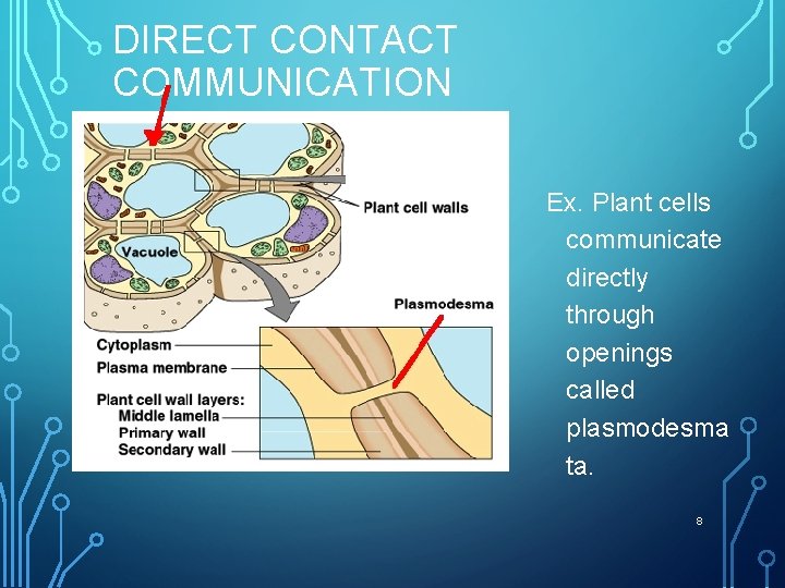 DIRECT CONTACT COMMUNICATION Ex. Plant cells communicate directly through openings called plasmodesma ta. 8