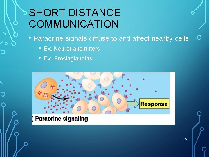 SHORT DISTANCE COMMUNICATION • Paracrine signals diffuse to and affect nearby cells • •