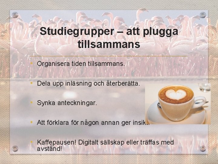 Studiegrupper – att plugga tillsammans • Organisera tiden tillsammans. • Dela upp inläsning och