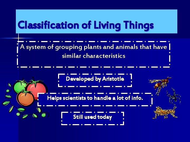 Classification of Living Things A system of grouping plants and animals that have similar