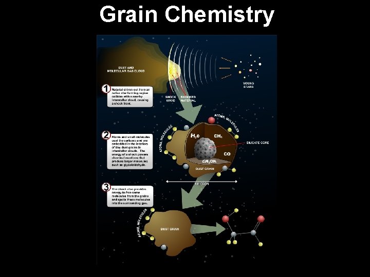 Grain Chemistry 