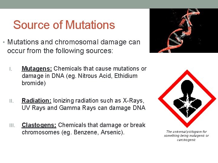 Source of Mutations • Mutations and chromosomal damage can occur from the following sources: