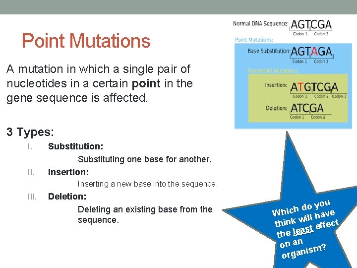 Point Mutations A mutation in which a single pair of nucleotides in a certain