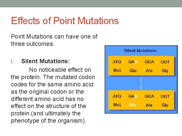 Effects of Point Mutations can have one of three outcomes: Silent Mutations: No noticeable