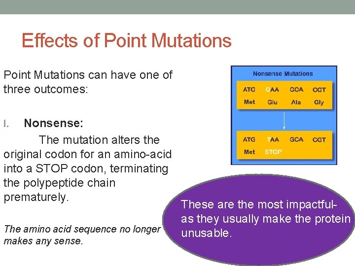 Effects of Point Mutations can have one of three outcomes: Nonsense: The mutation alters