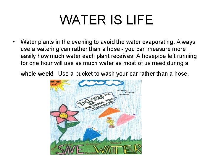 WATER IS LIFE • Water plants in the evening to avoid the water evaporating.