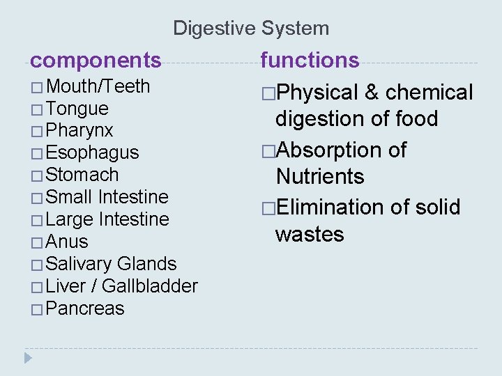 Digestive System components �Mouth/Teeth �Tongue �Pharynx �Esophagus �Stomach �Small Intestine �Large Intestine �Anus �Salivary