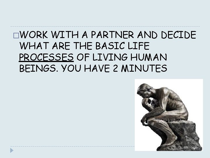 �WORK WITH A PARTNER AND DECIDE WHAT ARE THE BASIC LIFE PROCESSES OF LIVING