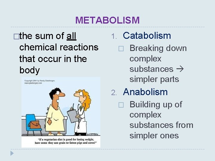 METABOLISM �the sum of all chemical reactions that occur in the body 1. Catabolism