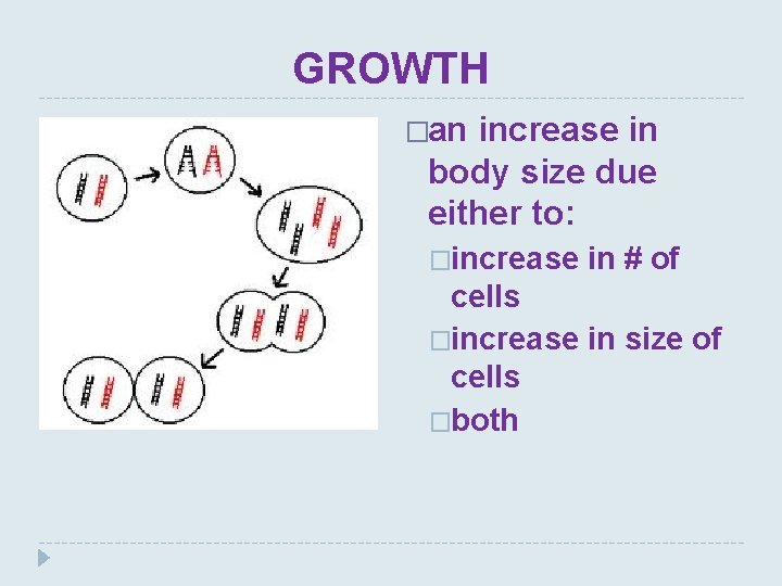 GROWTH �an increase in body size due either to: �increase in # of cells