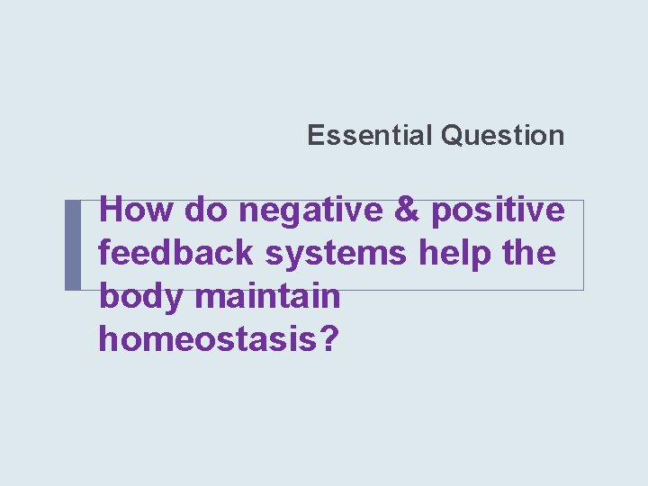 Essential Question How do negative & positive feedback systems help the body maintain homeostasis?