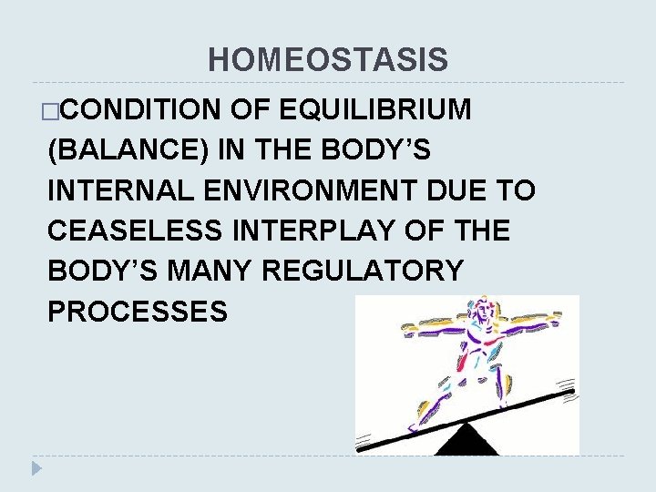 HOMEOSTASIS �CONDITION OF EQUILIBRIUM (BALANCE) IN THE BODY’S INTERNAL ENVIRONMENT DUE TO CEASELESS INTERPLAY