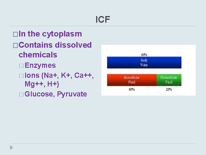 ICF �In the cytoplasm �Contains dissolved chemicals � Enzymes � Ions (Na+, K+, Ca++,