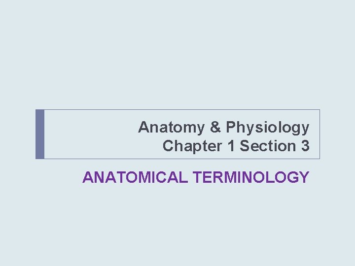 Anatomy & Physiology Chapter 1 Section 3 ANATOMICAL TERMINOLOGY 