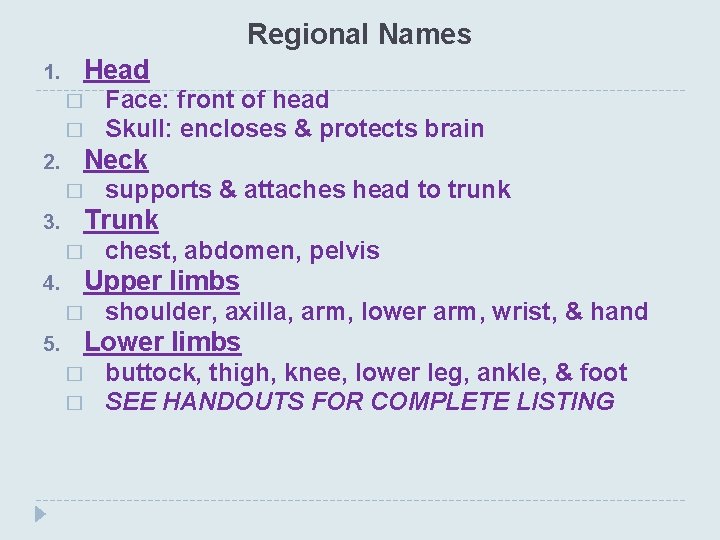 Regional Names 1. Head � � 2. Neck � 3. chest, abdomen, pelvis Upper