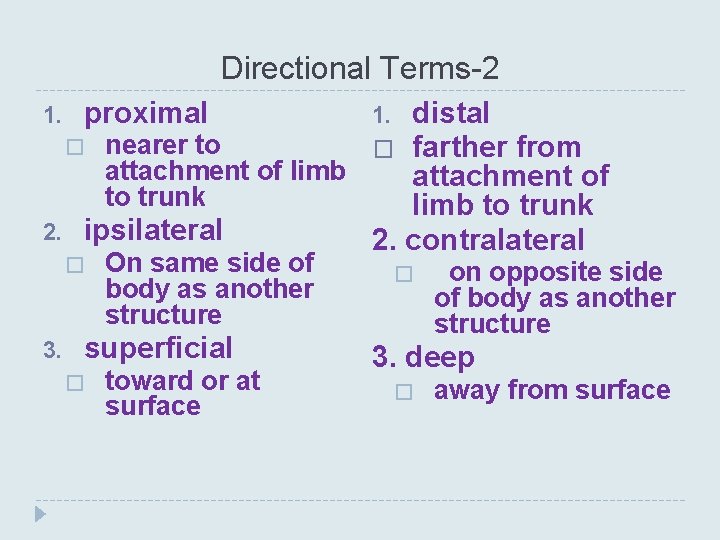 Directional Terms-2 distal � nearer to farther from attachment of limb attachment of to