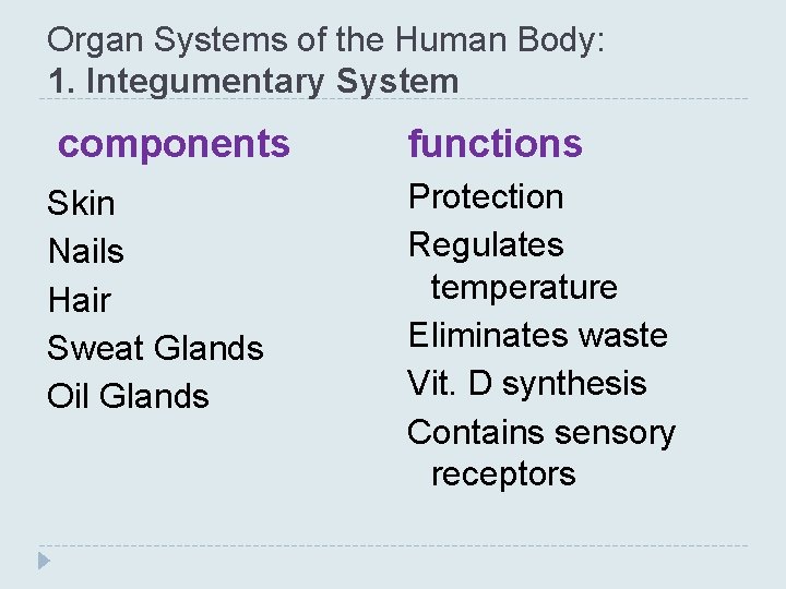 Organ Systems of the Human Body: 1. Integumentary System components Skin Nails Hair Sweat