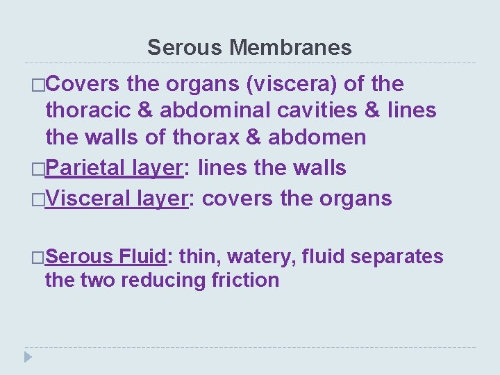Serous Membranes �Covers the organs (viscera) of the thoracic & abdominal cavities & lines
