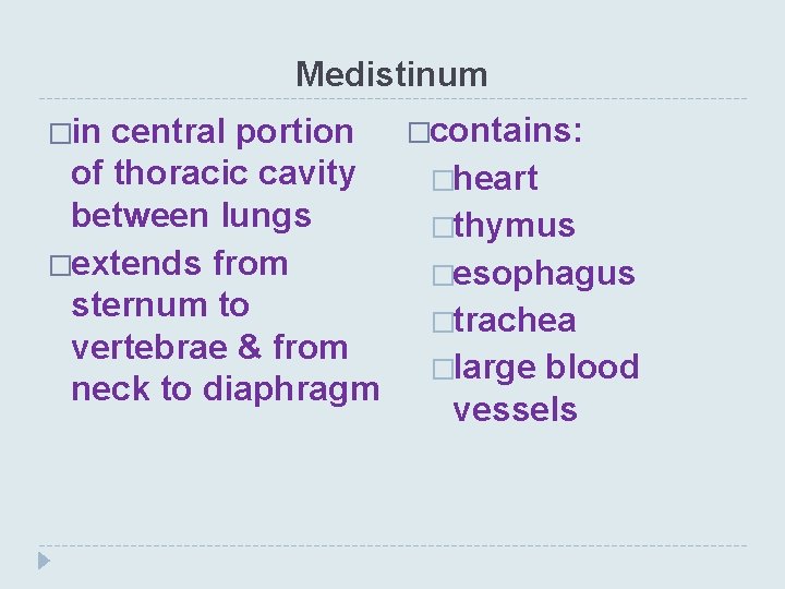 Medistinum �in central portion of thoracic cavity between lungs �extends from sternum to vertebrae
