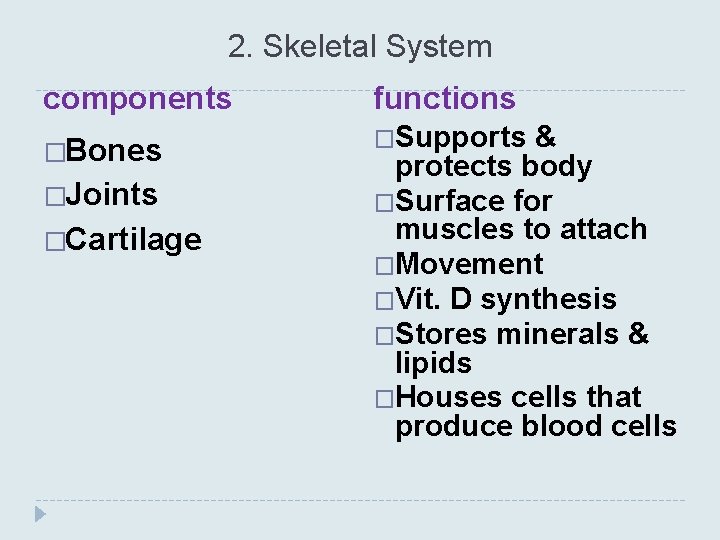 2. Skeletal System components �Bones �Joints �Cartilage functions �Supports & protects body �Surface for