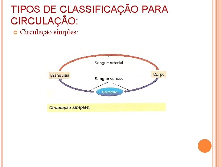 TIPOS DE CLASSIFICAÇÃO PARA CIRCULAÇÃO: Circulação simples: 