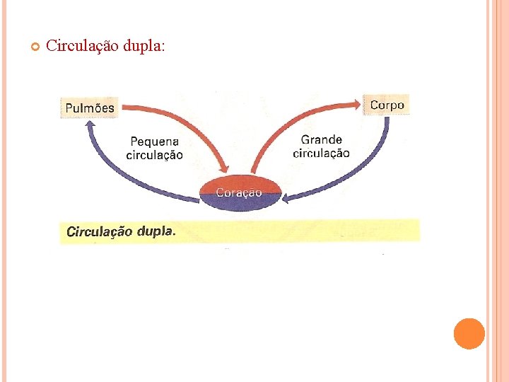  Circulação dupla: 