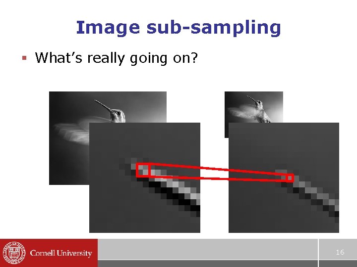 Image sub-sampling § What’s really going on? 16 