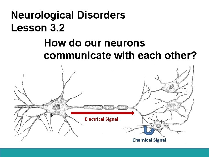 Neurological Disorders Lesson 3. 2 How do our neurons communicate with each other? Electrical