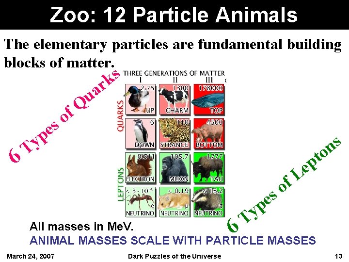 Zoo: 12 Particle Animals The elementary particles are fundamental building blocks of matter. s
