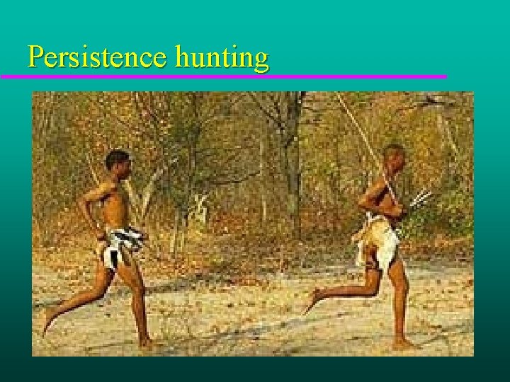 Persistence hunting 