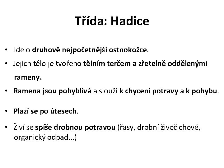 Třída: Hadice • Jde o druhově nejpočetnější ostnokožce. • Jejich tělo je tvořeno tělním