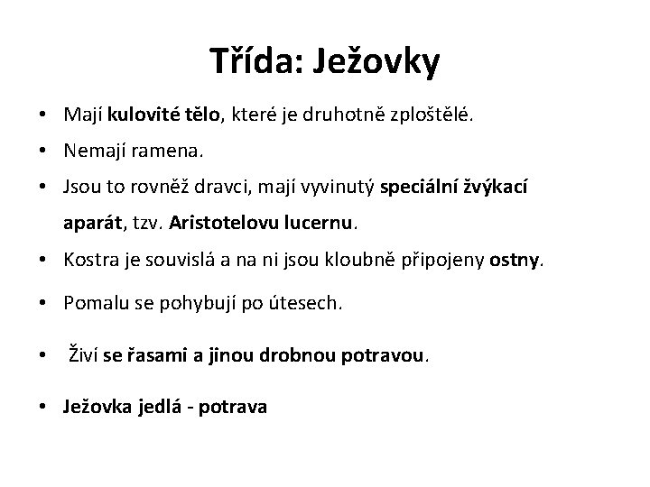 Třída: Ježovky • Mají kulovité tělo, které je druhotně zploštělé. • Nemají ramena. •
