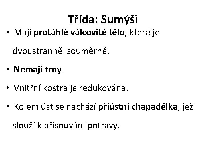 Třída: Sumýši • Mají protáhlé válcovité tělo, které je dvoustranně souměrné. • Nemají trny.