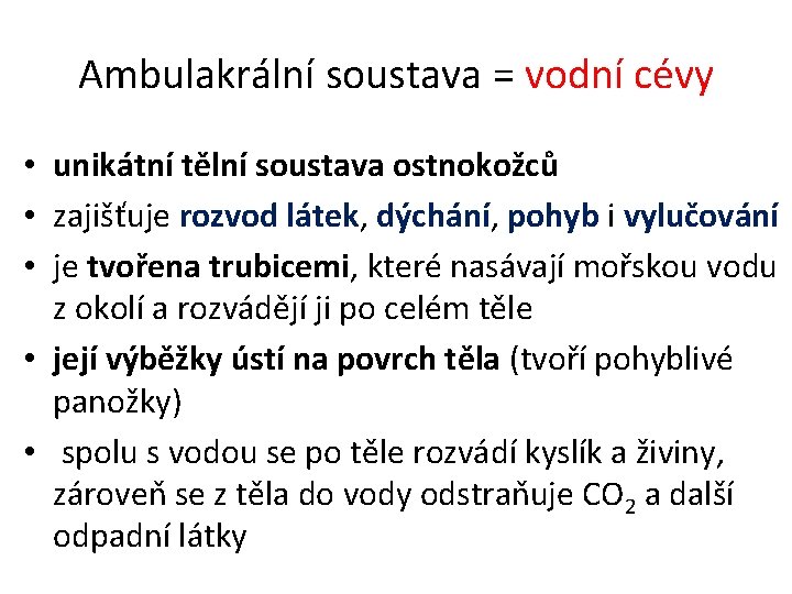 Ambulakrální soustava = vodní cévy • unikátní tělní soustava ostnokožců • zajišťuje rozvod látek,